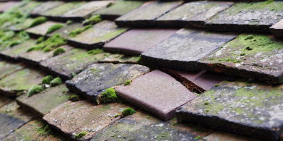 West Hendred roof repair costs